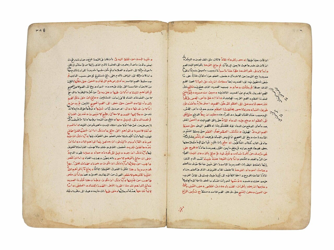 Ibn al-Nafis